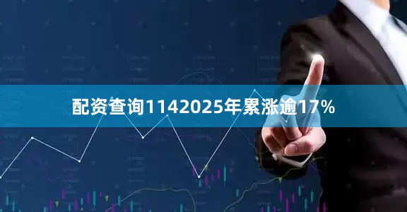 配资查询1142025年累涨逾17%